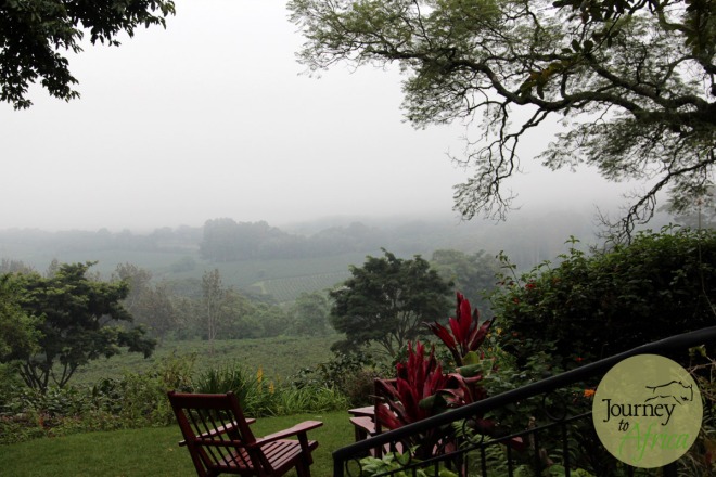 The morning mist from the main lounge area. The coffee plantation is hidden in the mist. 